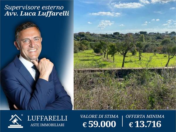 Agricultural Field for sale in Albano Laziale