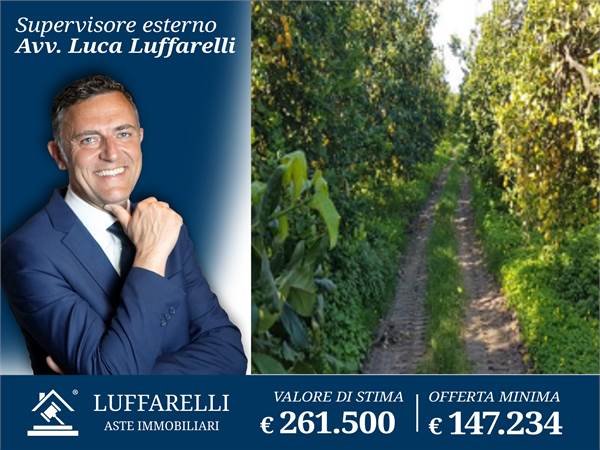 Agricultural Field for sale in Siracusa