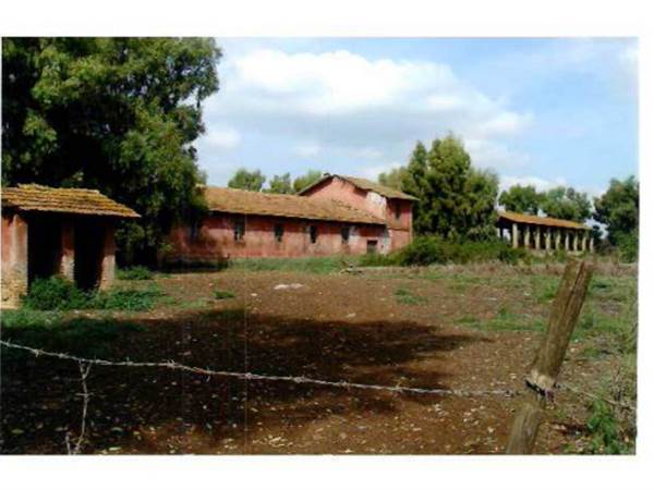 Agricultural Field for sale in Lanuvio