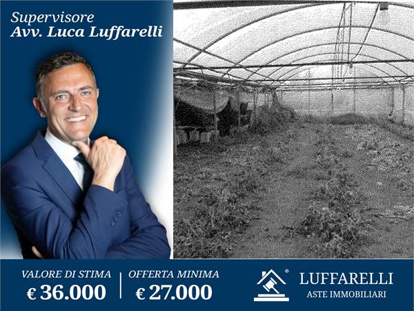 Agricultural Field for sale in Lariano