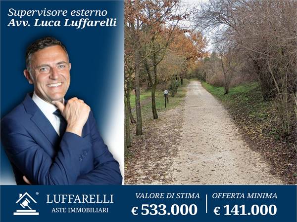 Agricultural Field for sale in Segni