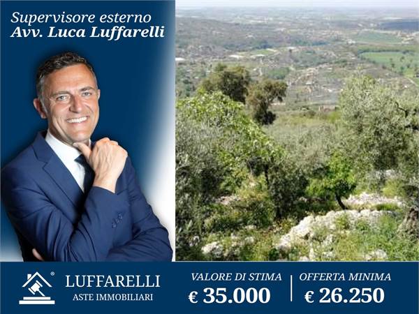Agricultural Field for sale in Sonnino