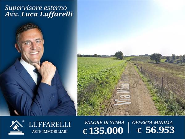 Agricultural Field for sale in Cerveteri