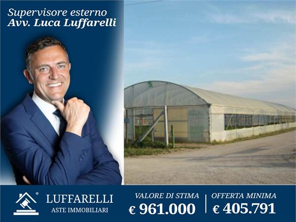 Agricultural Field for sale in Nettuno