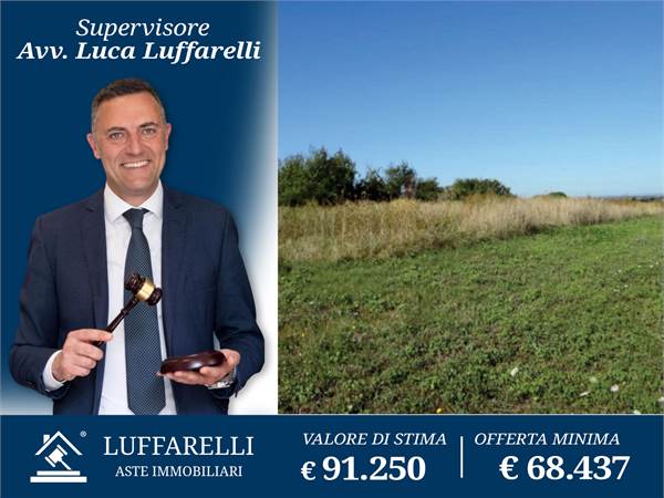 Agricultural Field for sale in Marino